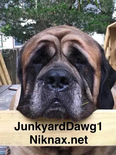 New Thrifts Of The Week & Stuff