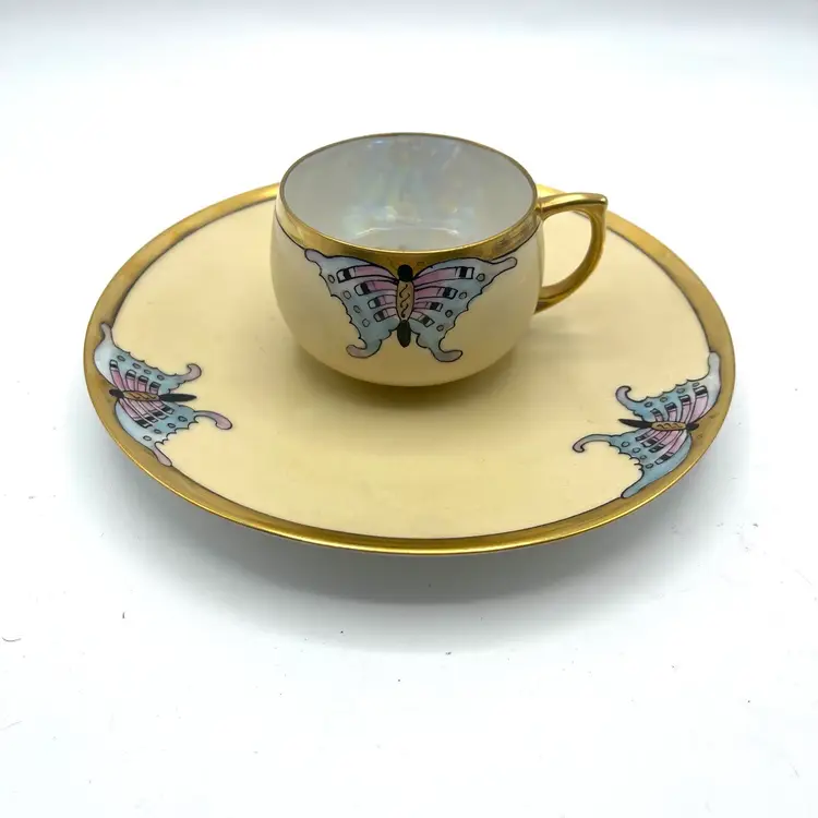Stunning Thomas Bavarian Art deco Hand Painted Tea Cup & Matching Plate Saucer Butterfly Moth Iridescent
