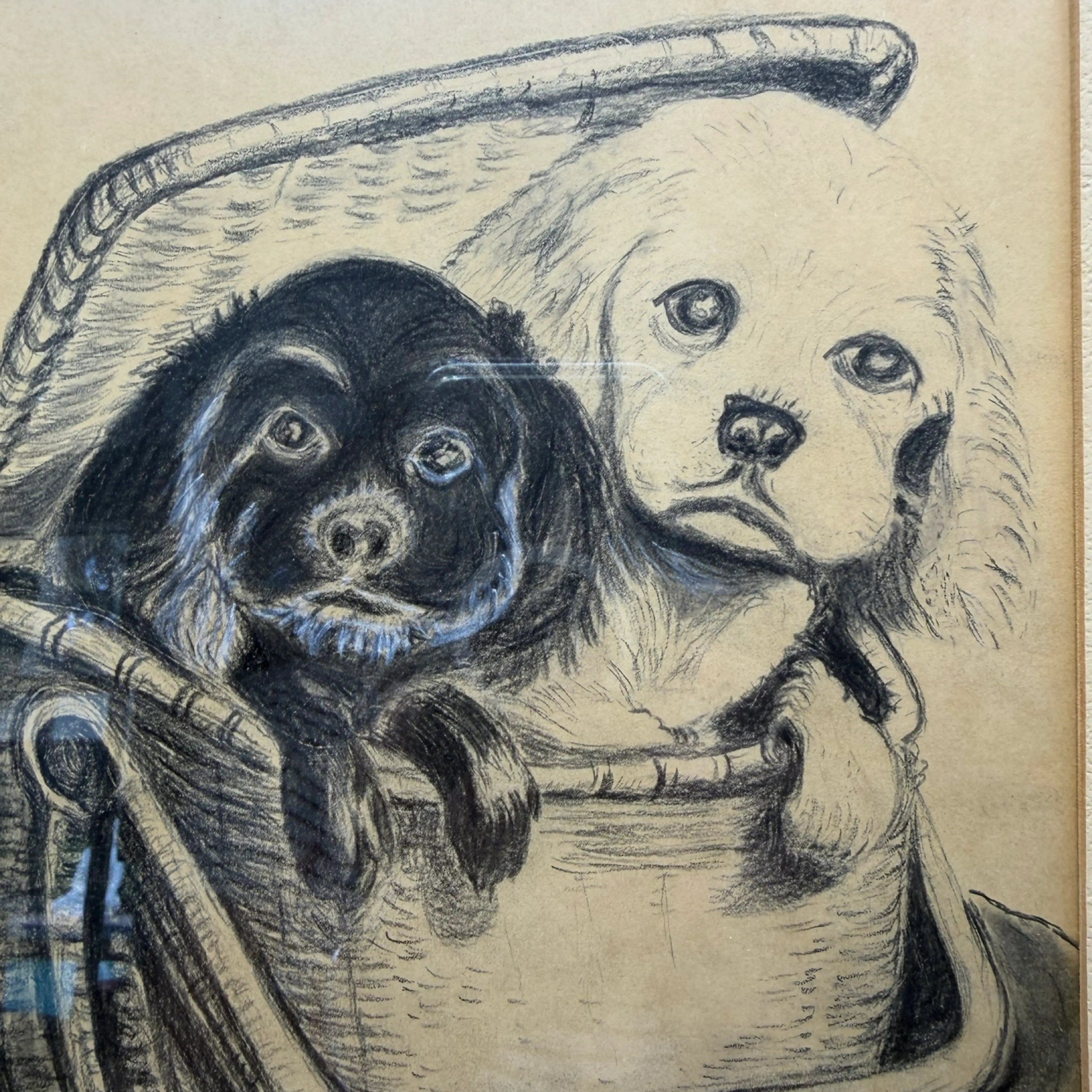 Image 2 of 10