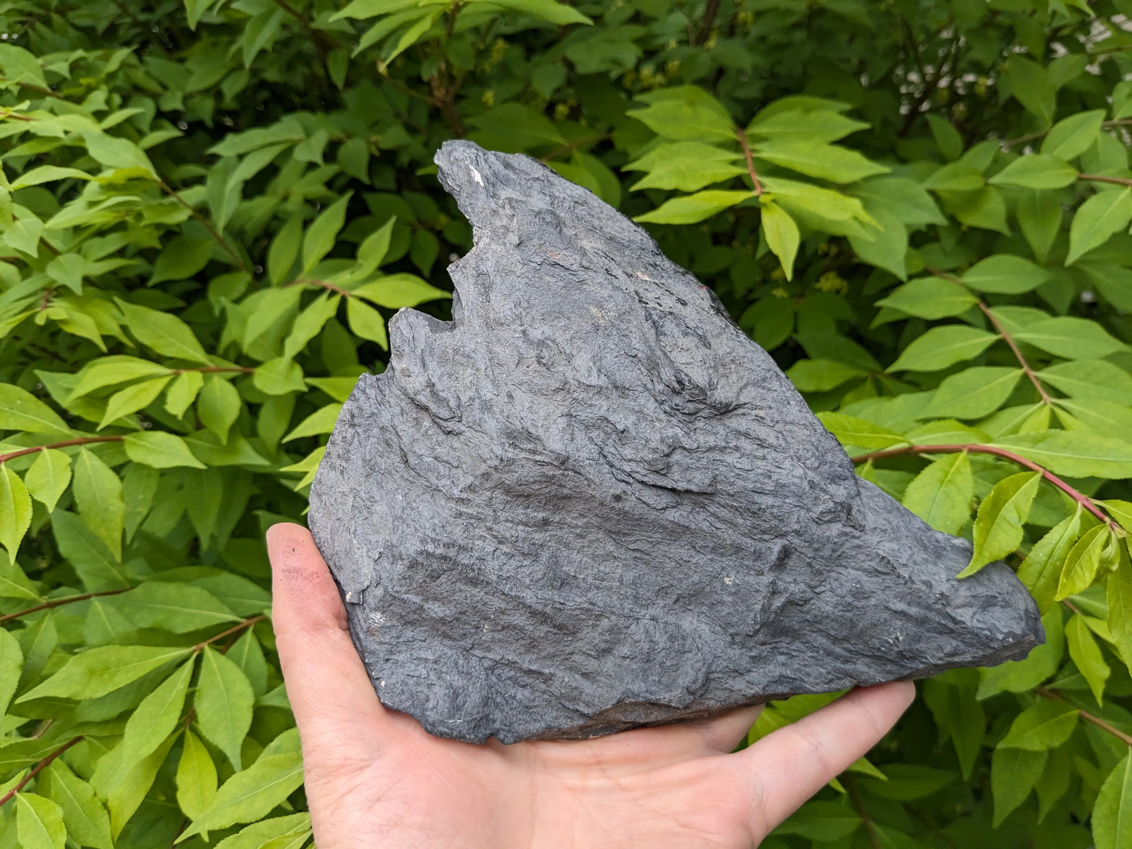 Image 2 of 10
