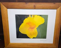 Signed Canna Lily Photo by Glenda Baker Taylor "Red Splatter" 2005 17" x 12.5"