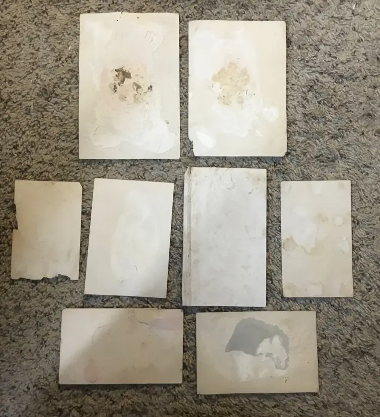 Antique ephemera, advertising cards, lot of 8, Portland, OR, 1880s or 1890s