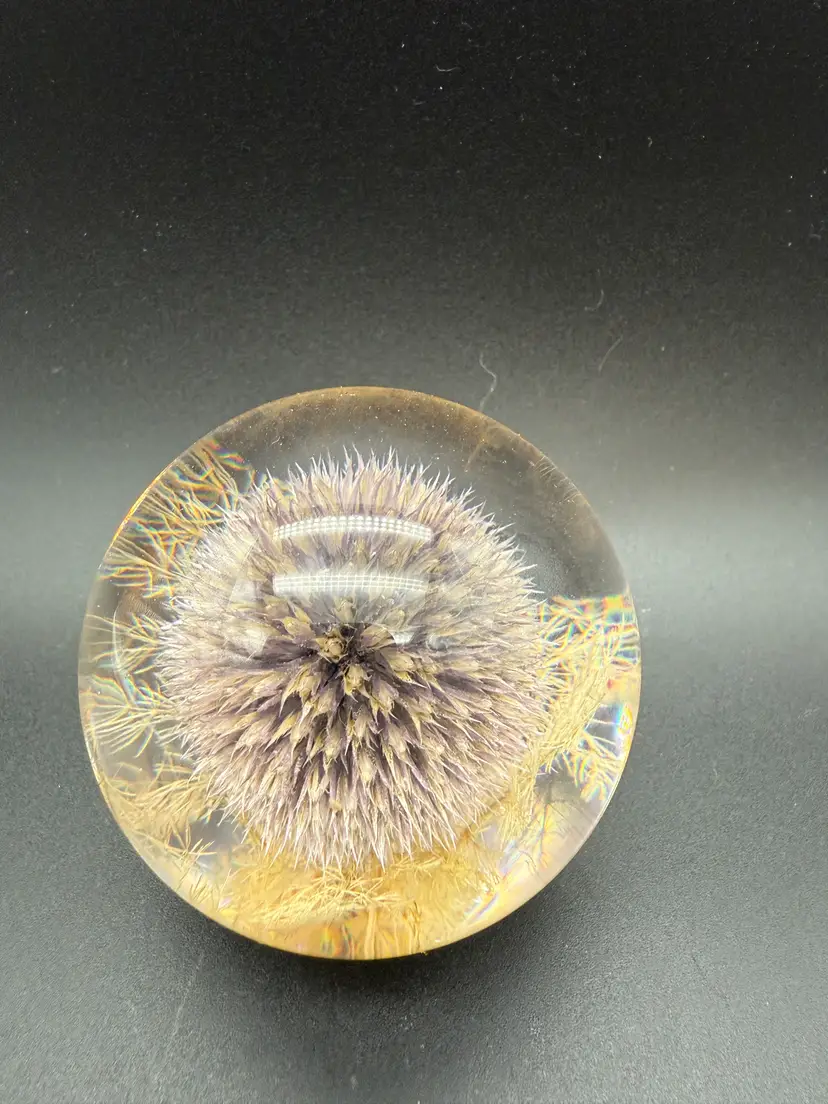 Hafod Grange 1996 Thistle Lucite Paperweight