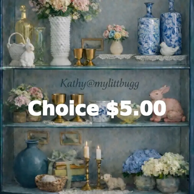 $5.00 Clearance. Scroll Thru Pics DM me for your Choice