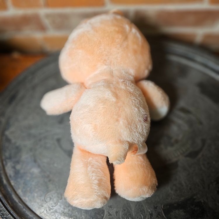 Vintage 1983 Care Bears Friend Bear Plush Kenner Original Peach Bear with Sunflower Belly Badge