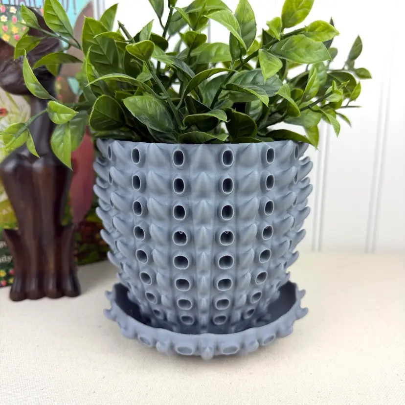 Planter Pot, Barnacle Planter Pot, Indoor Flower Pot, Houseplants, Planter Drip Tray, Eco-friendly