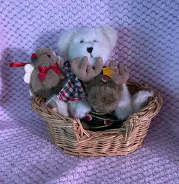 Basket Of Boyd’s Bears