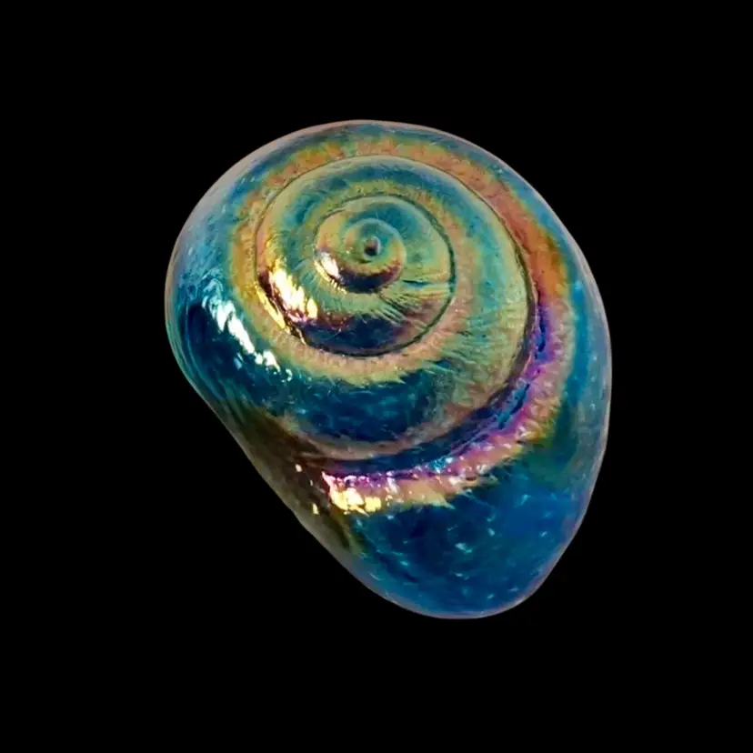 Robert Held Iridescent Shell Art Glass Paperweight