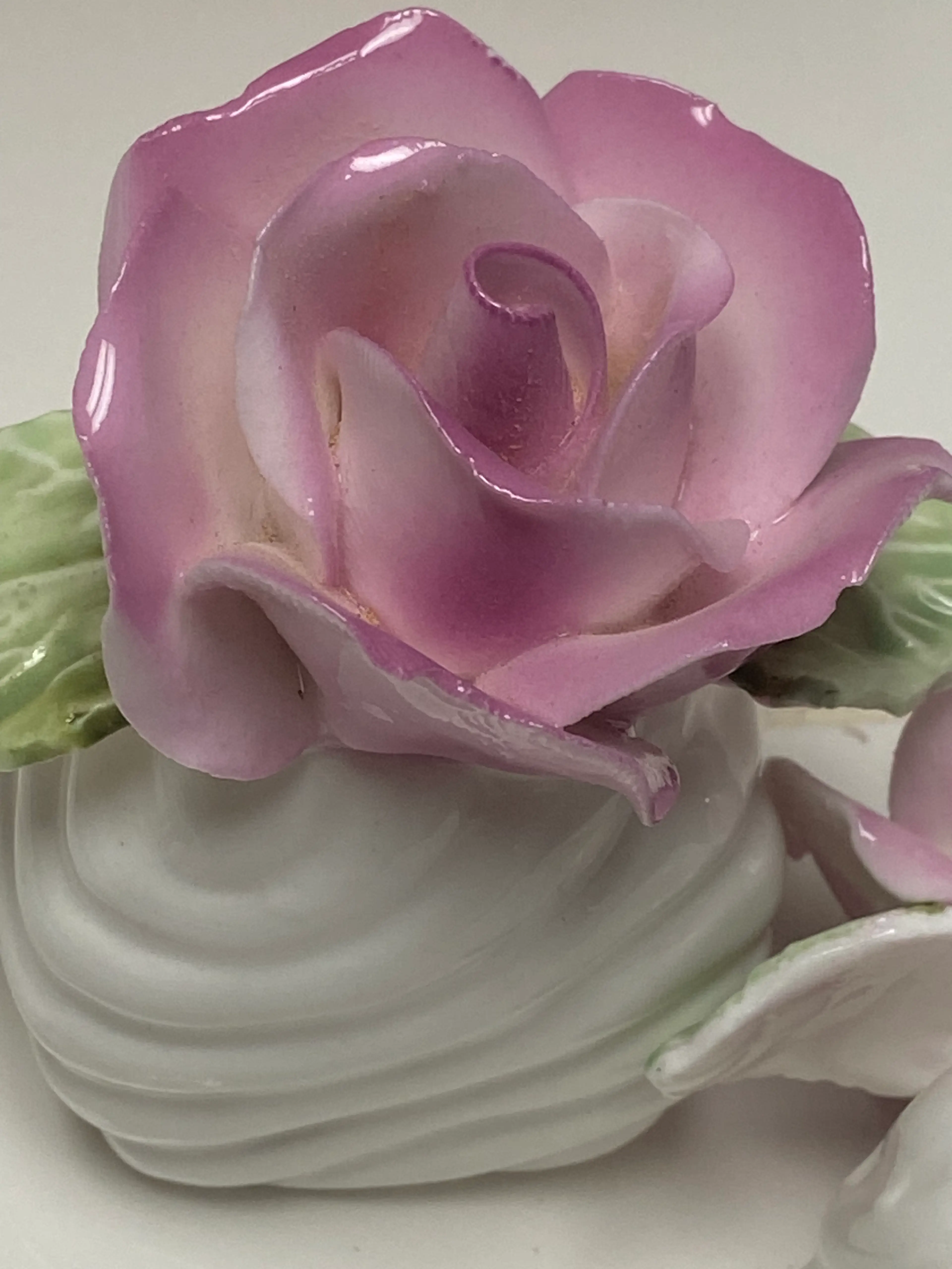 Image 4 of 5