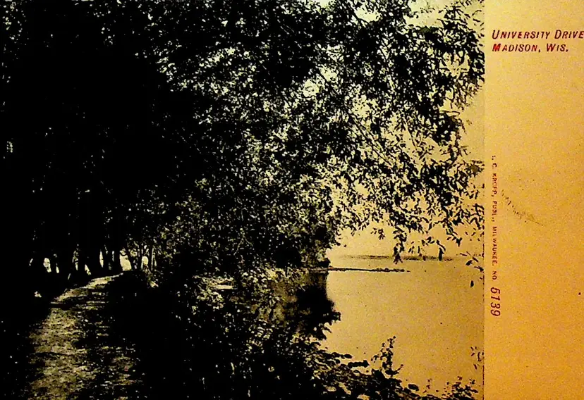 University Drive Madison Wisconsin Vintage Postcard
