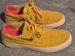 Nike Shane T SB Pollen Men's Suede Shoes Size,9