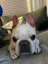 Nick