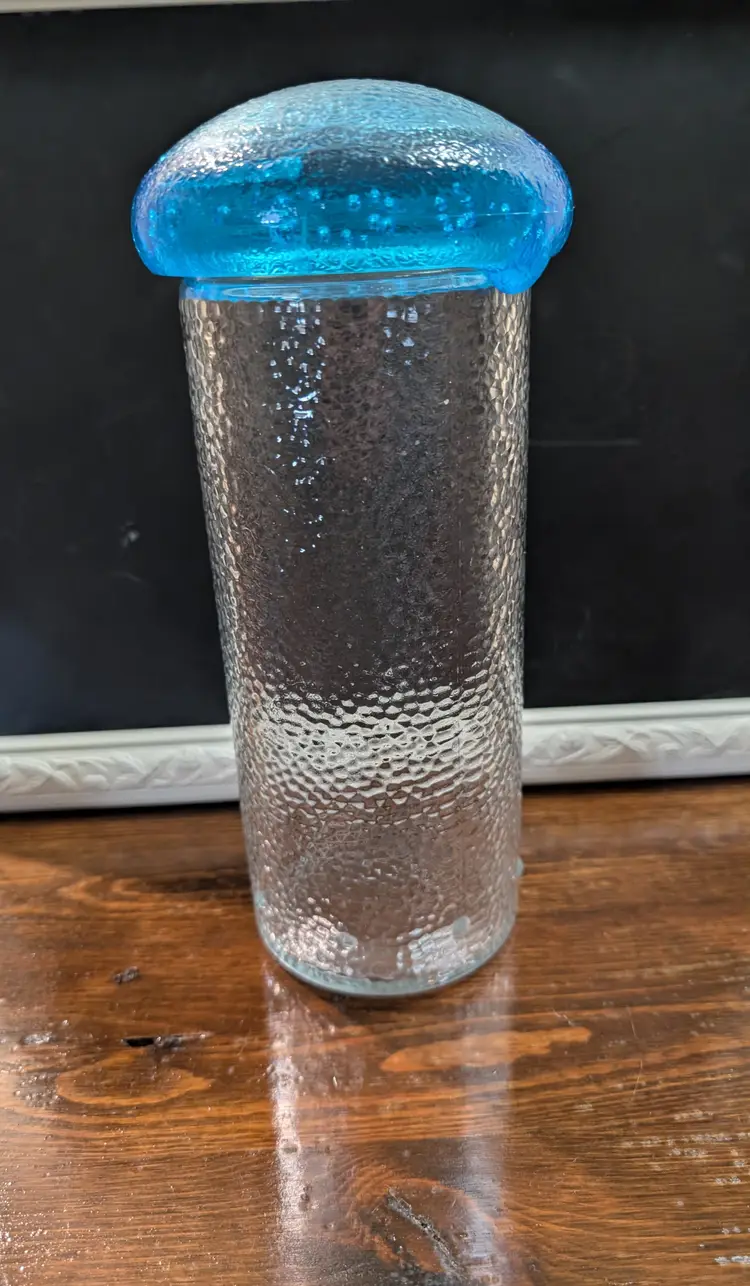 Vintage Pier 1 Mushroom Designed Glass Container with Plastic Lid