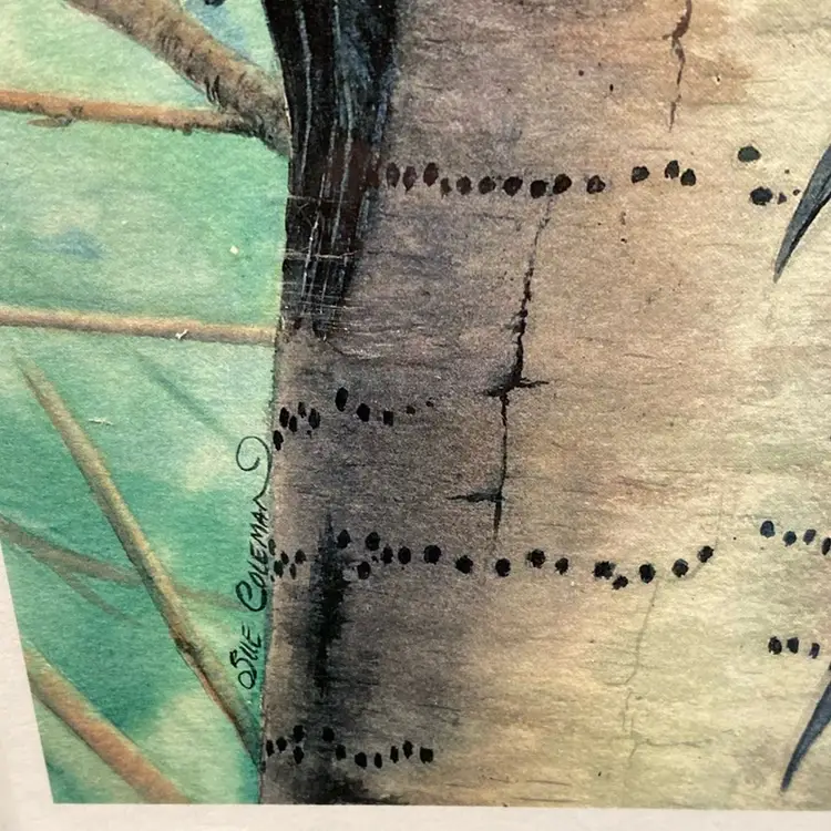 Pileated Woodpecker Art Print By Sue Coleman