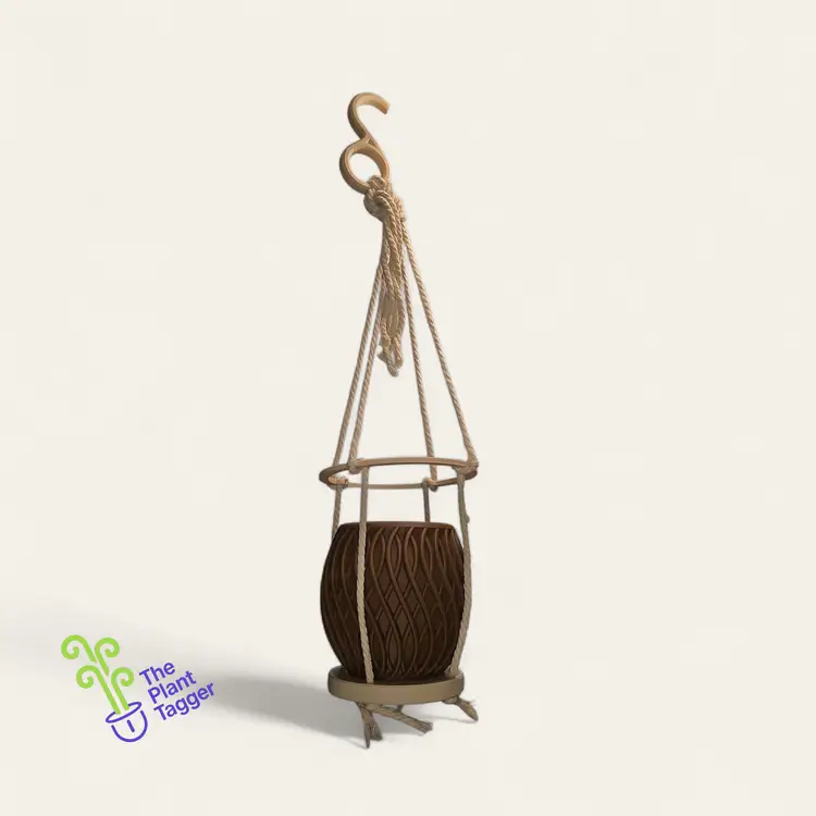 Anywhere Hanger Banger 2 Tone Boho Brown