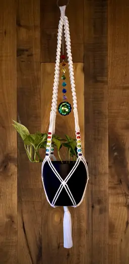 Rainbow Macrame Plant Hanger