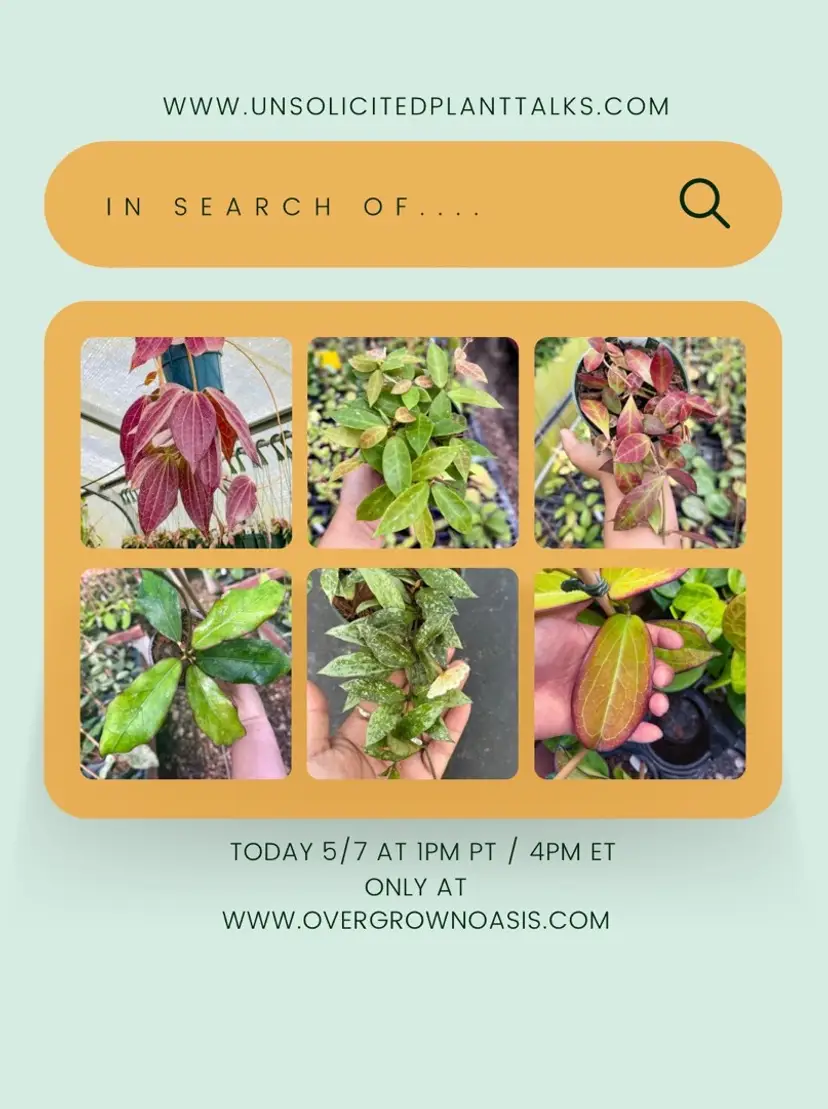 Livestream thumbnail