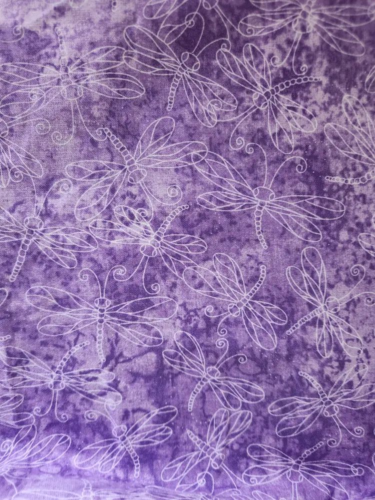 Girls Daisy and Dragonfly Pillowcase Dress Size 5