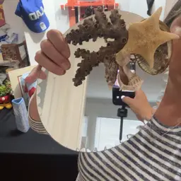 Sea Shell Mirror Vanity Wall Art