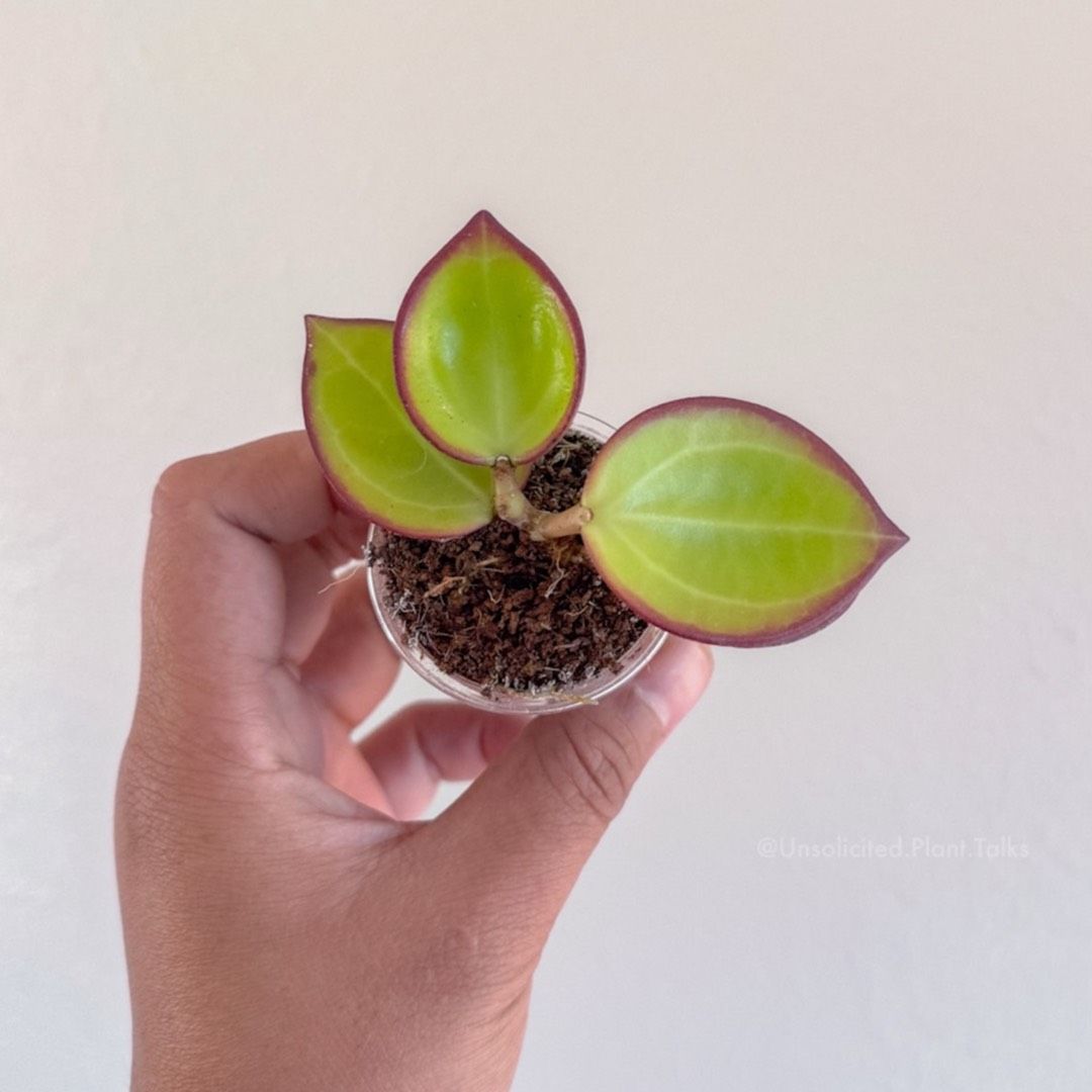 67f67f01-73a6-45c9-8459-