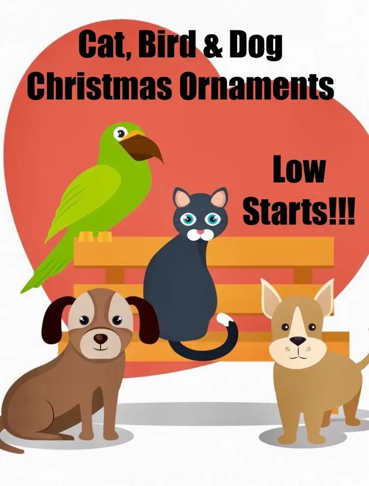 Cats 🐈‍⬛ Birds 🦢 Dogs 🐕 Plus More!! 