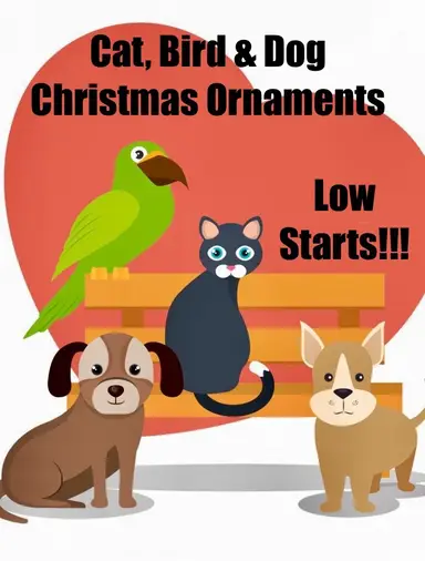 Cats 🐈⬛ Birds 🦢 Dogs 🐕 Plus More!!