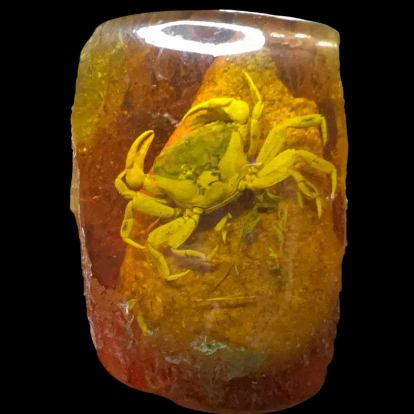 Crab In Resin Paperweight 4” Summer Beach