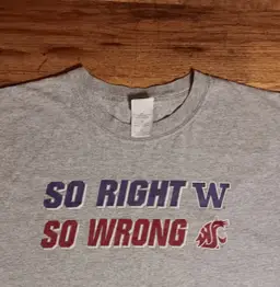 vintage Washington Huskies WSU Cougars t shirt football college rivals