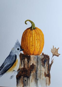 Titmouse With Pumpkin Original Watercolor Painting Signed By The Artist 5x7 Free Shipping