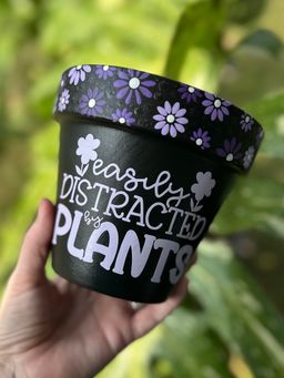 6 inch purple easily distracted