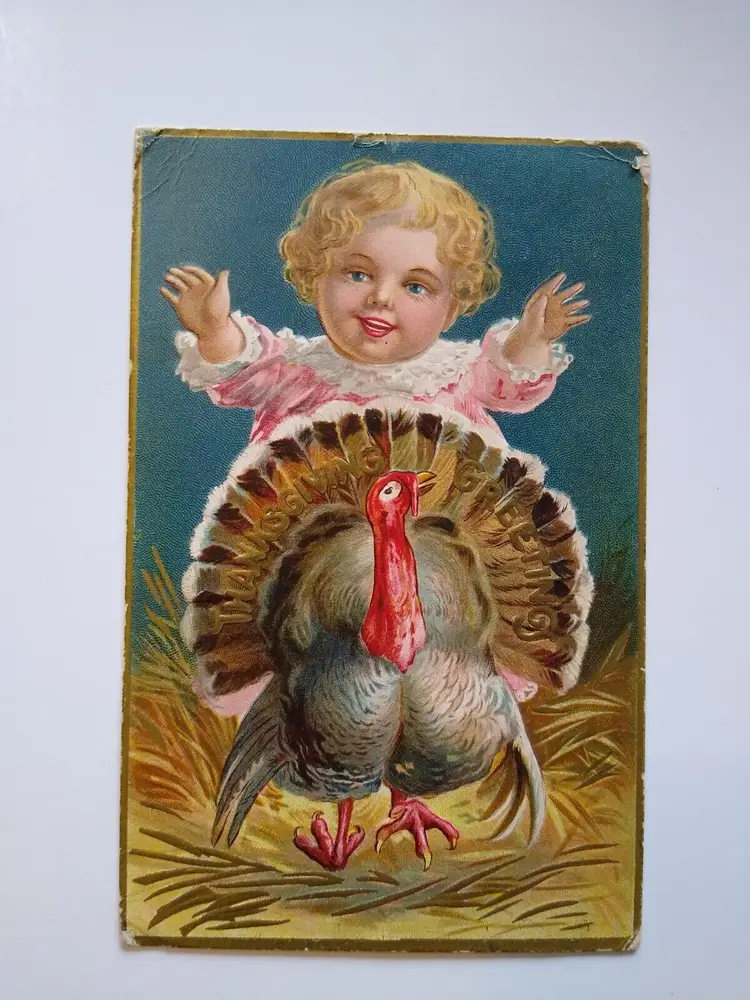 Thanksgiving Postcard Child Baby Behind Turkey Greetings Series 1 Embossed 1908