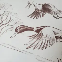 Make Way for Ducklings Children's Book