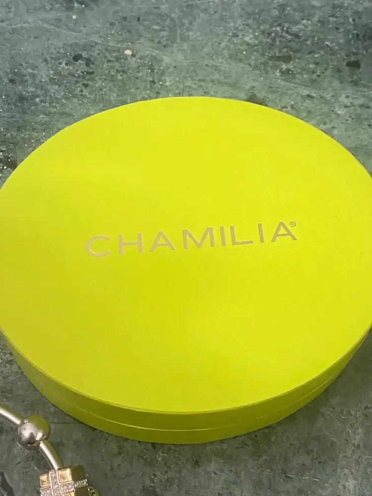 108. Sterling Silver (59g) Chamilia Charm Bracelet with Box