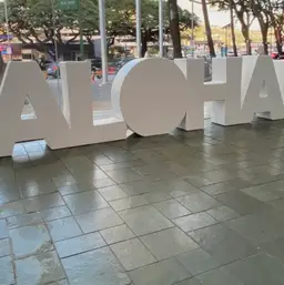 #13 - Gently Used Shirt