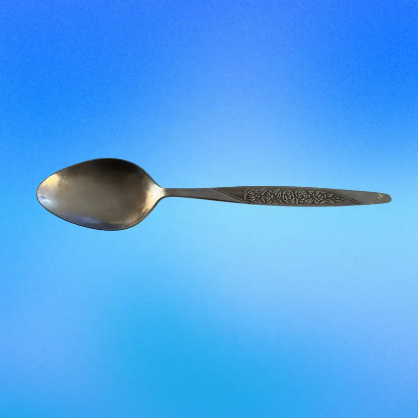 Vtg Caress Serving Spoon National Stainless