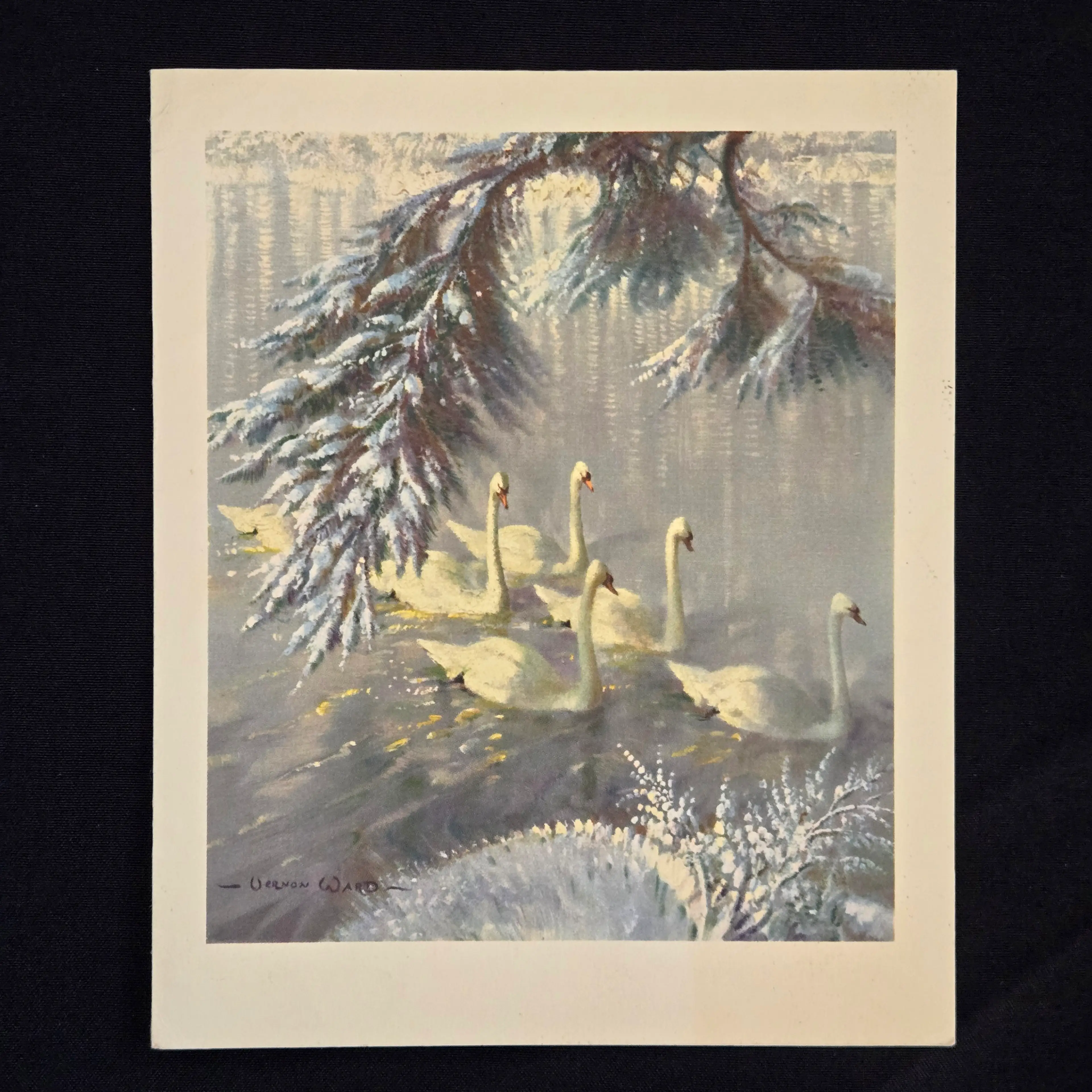 Image 1 of 14