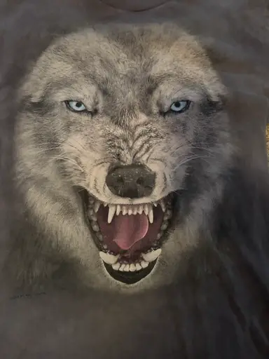 Progressive Shipping Toys Clothes Cards 