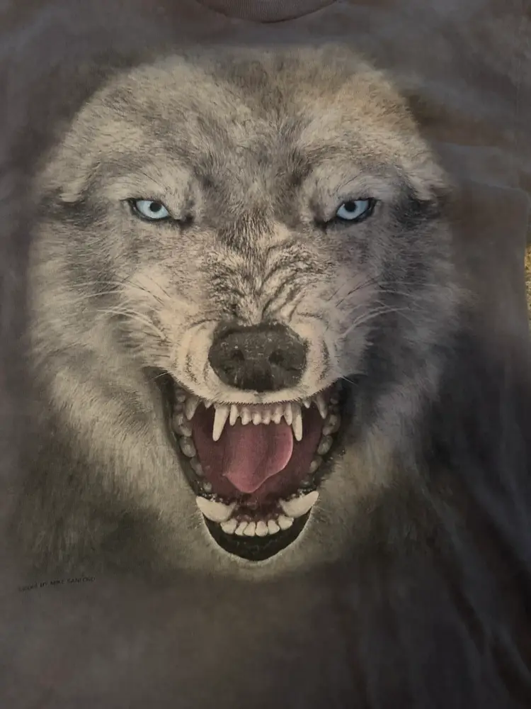 Progressive Shipping Toys Clothes Cards 