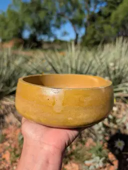 7” Ochre Concrete Bowl Planter