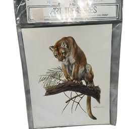 1972 Art Treasures Print West Germany Panther  9 X 7 Signed
