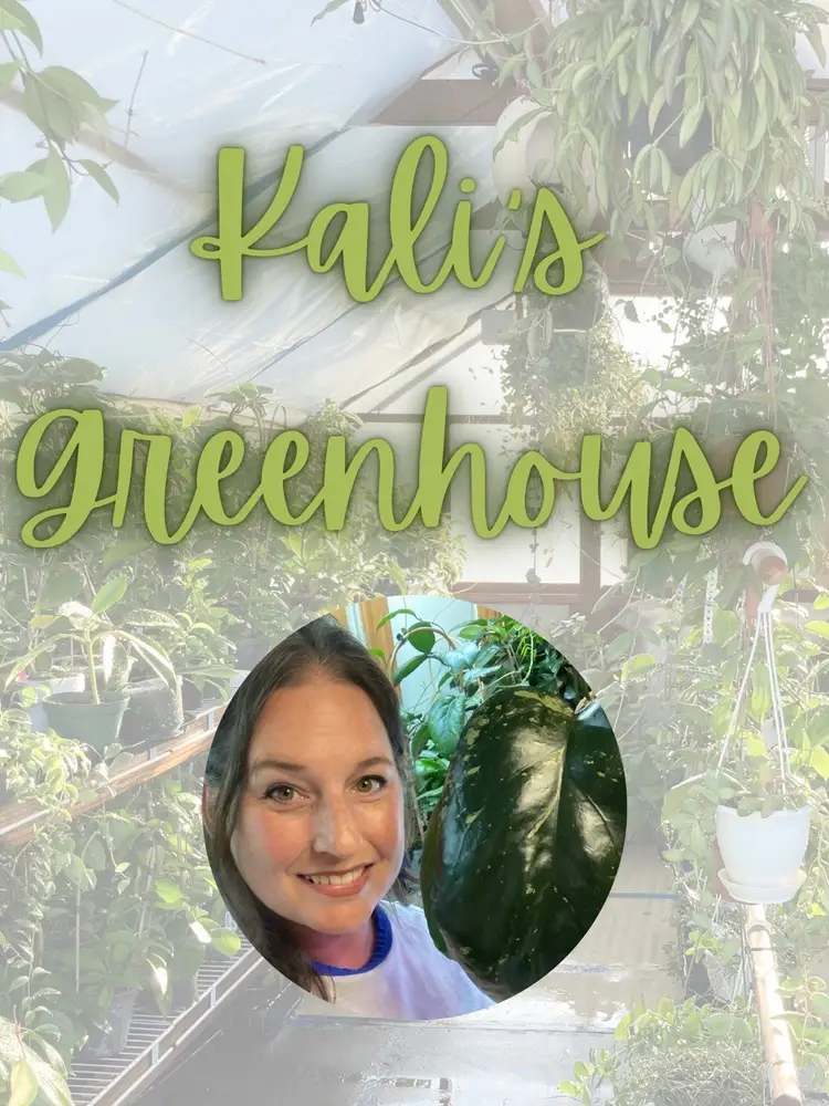 FML IT DELETED MY LIVE 