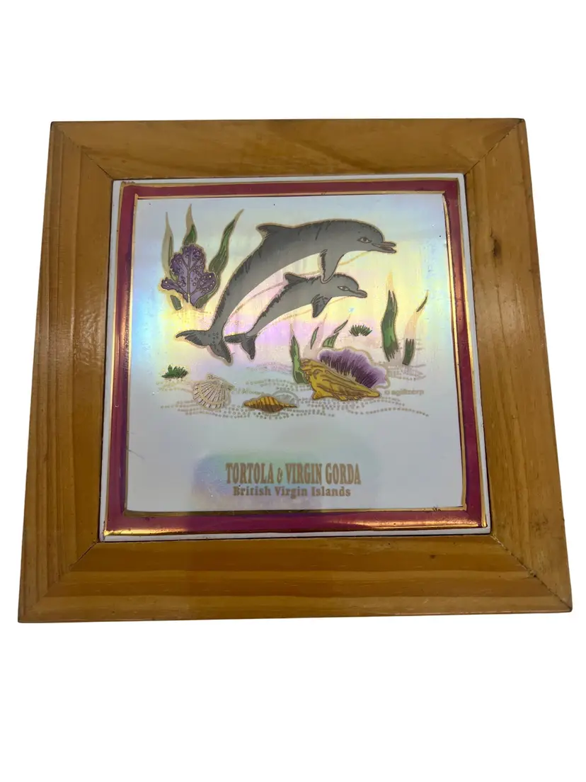 Framed Souvenir Tile Tortola & Virgin Gorda British Virgin Islands Dolphins 6" Wood Frame Ocean Beach Decor