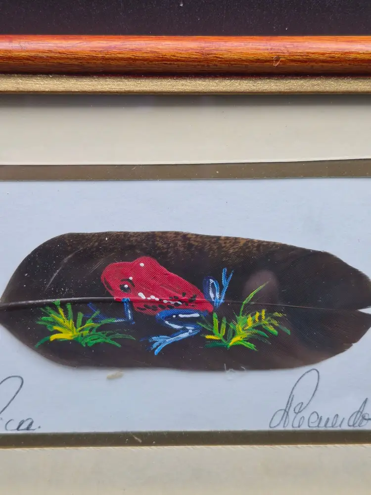 Hand-Painted Feather Art Costa Rica Red Frog Framed 6.5x4.5 Signed Jose Garro