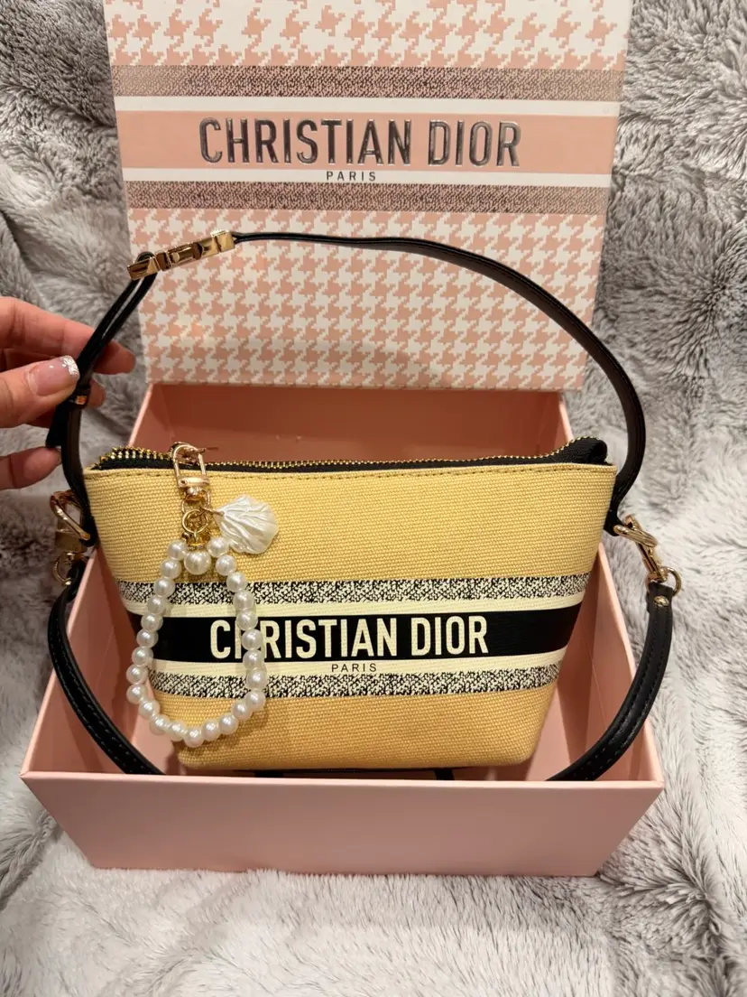 Dior GWP handbag