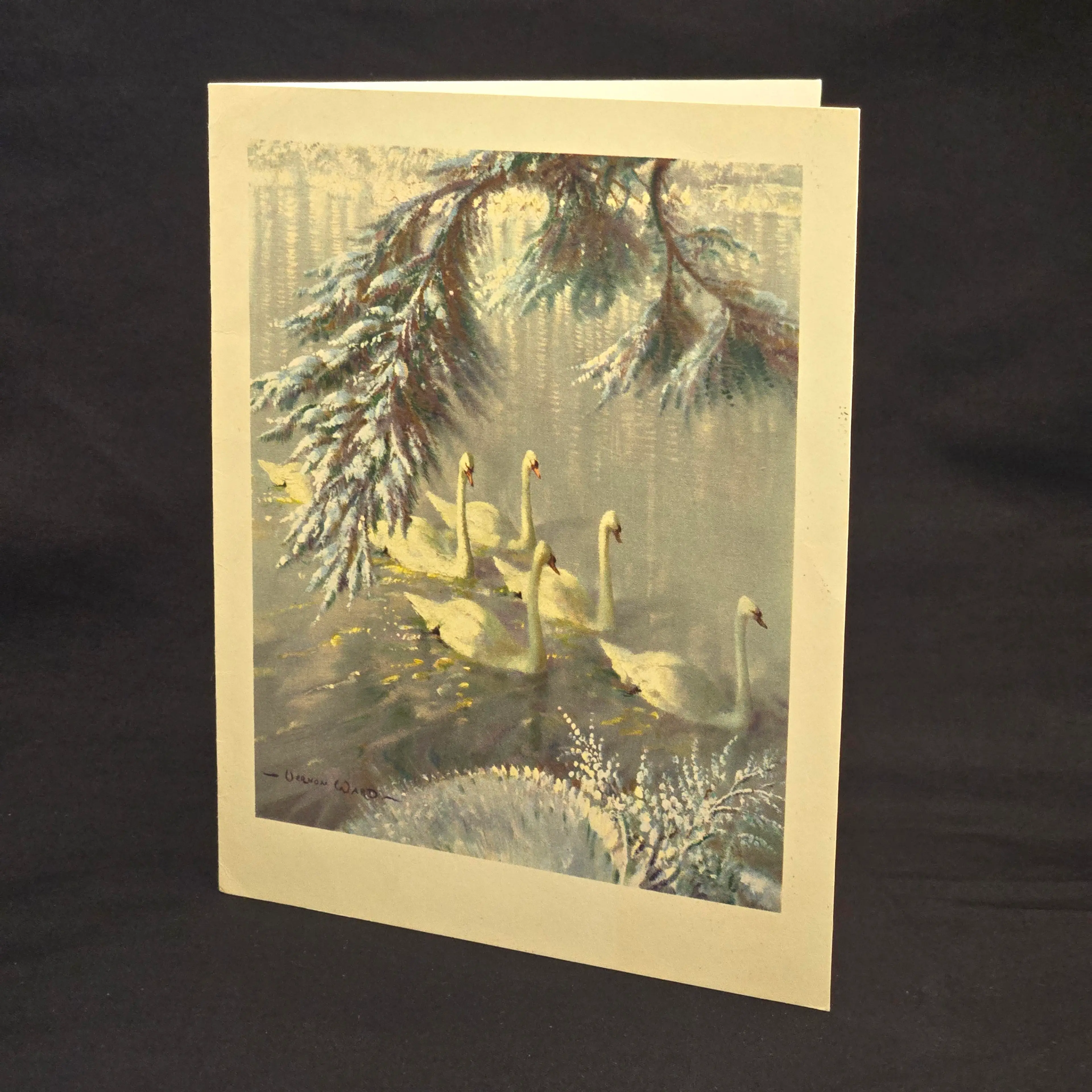 Image 2 of 14