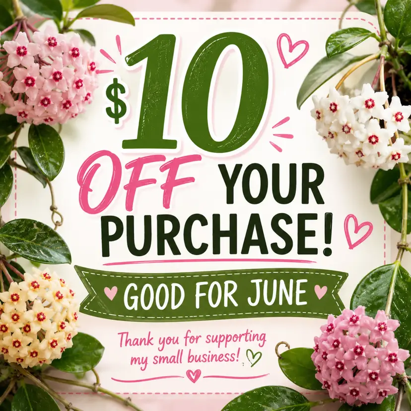$10 off