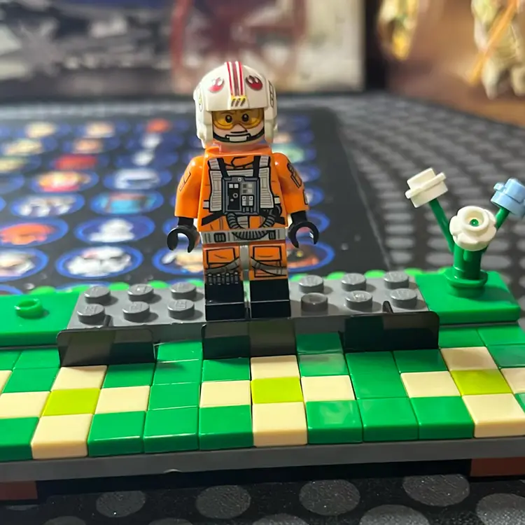 UCS Luke Skywalker (sw1267)