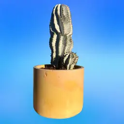 5” Sunny Side Round Concrete Planter