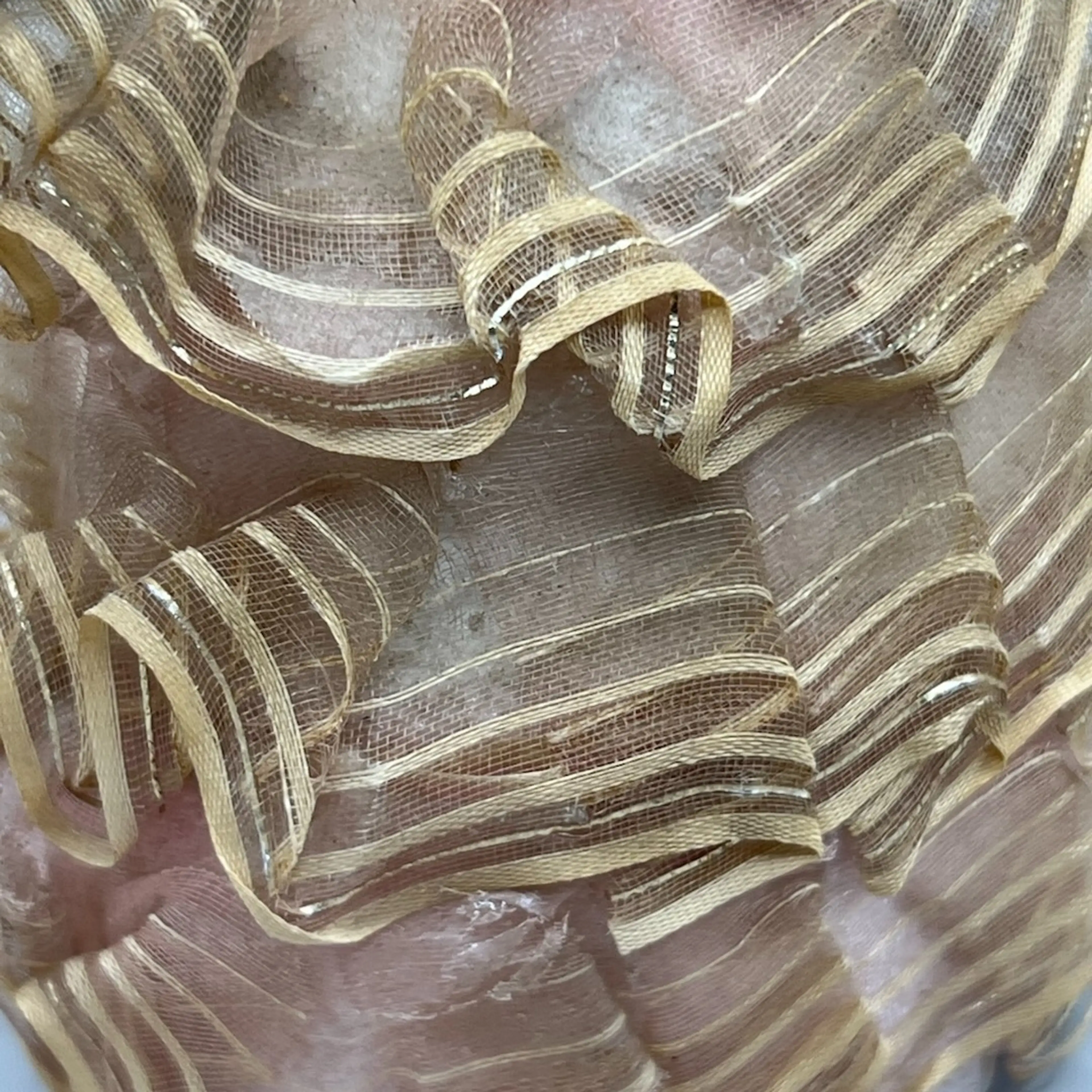 Image 5 of 25