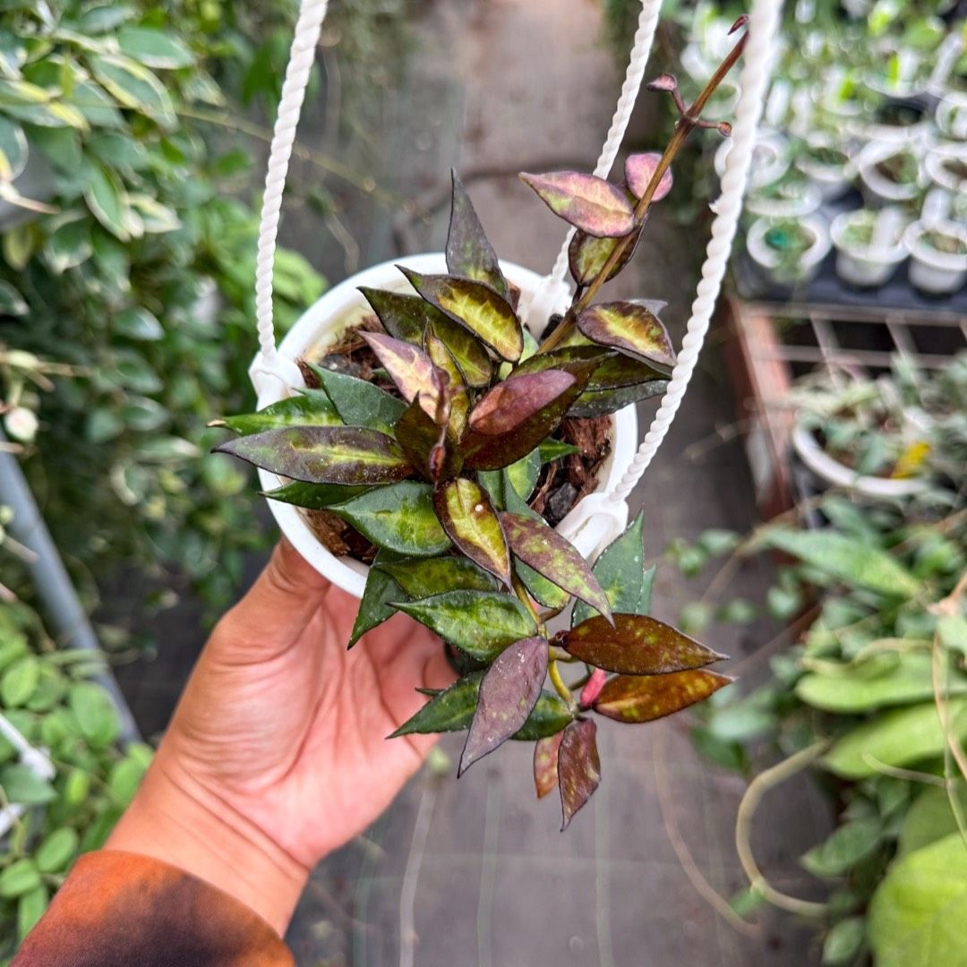 6ab703ab-8b6a-434a-80ff-